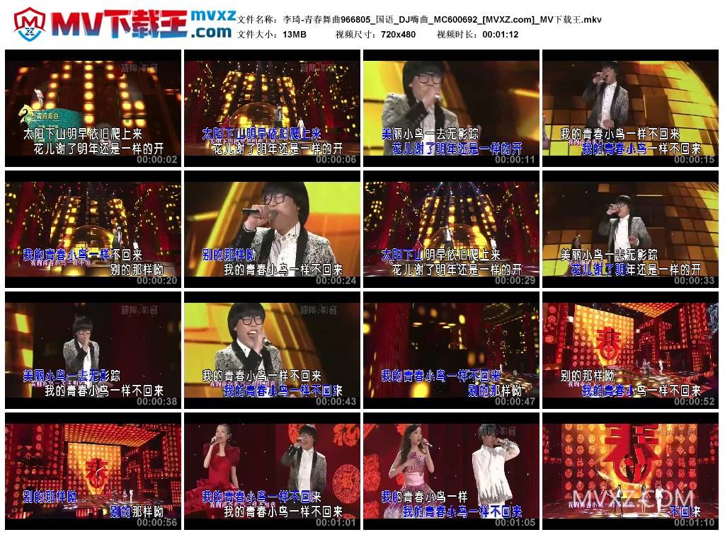 李琦-青春舞曲966805_国语_DJ嗨曲_MC600692